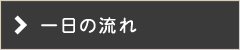 一日の流れ